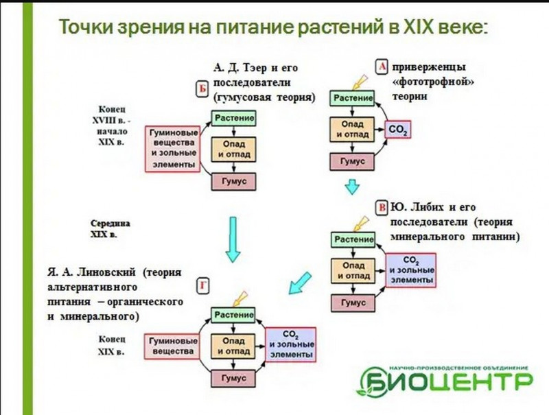 3 питание растений.jpg