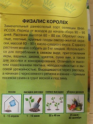 Физалис Королек 1.jpg