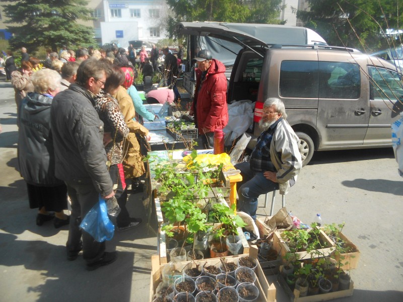 я на выставке лучшиесаженцы садоводам Урала 12.05. 2013 г. гЮжноуральск.JPG