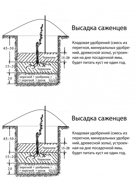 ОБРАБОТКА 2.jpg