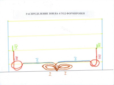 Рисунок9.jpg