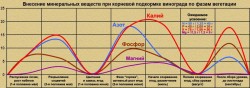 график внесения  минеральных .jpg