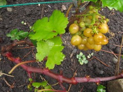 IMG_9880.JPG