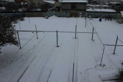 IMG_8236.JPG