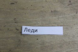 2017-02-24 12-41-50.JPG