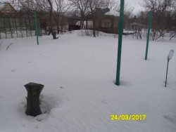 SAM_9160.JPG