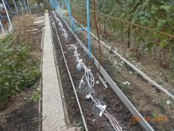 DSCN8526.JPG