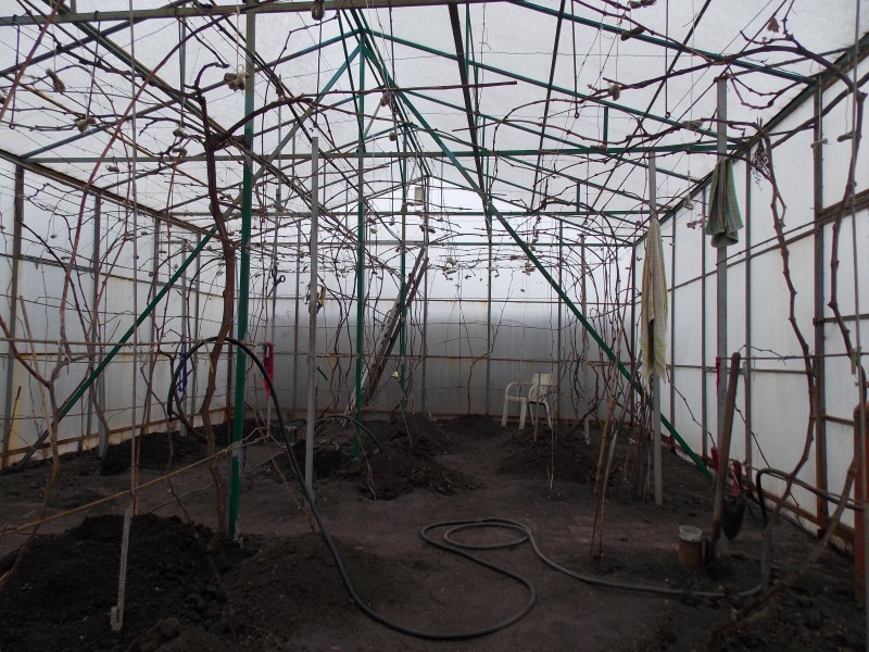 DSCN0464.JPG