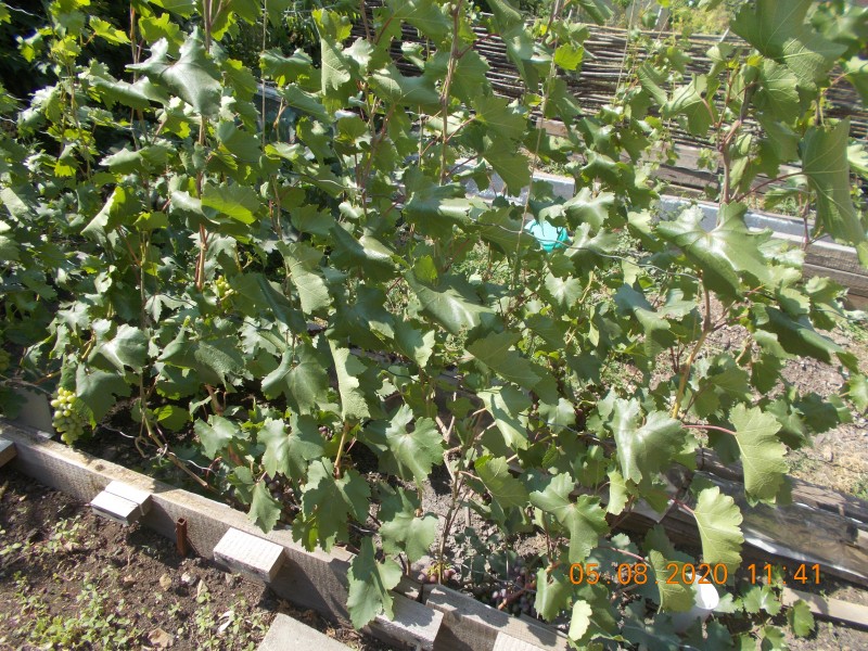 DSCN4460.JPG