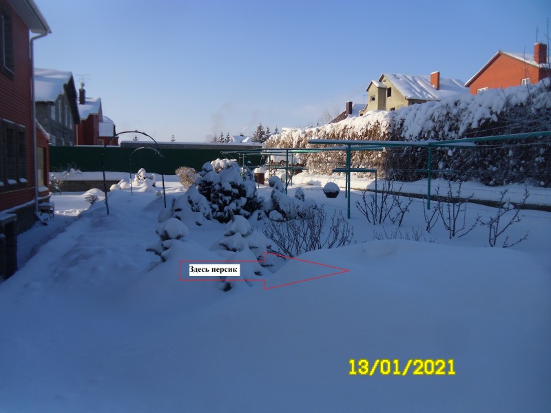 SAM_4400.JPG