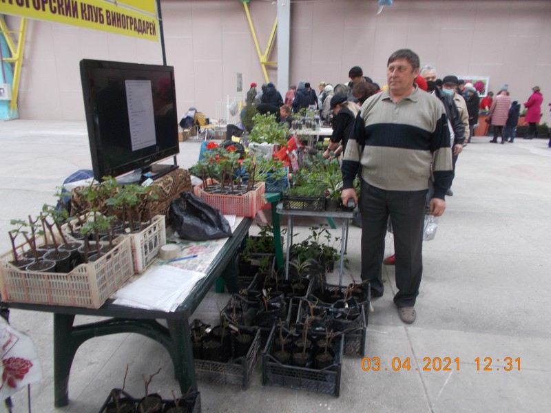DSCN5482.JPG