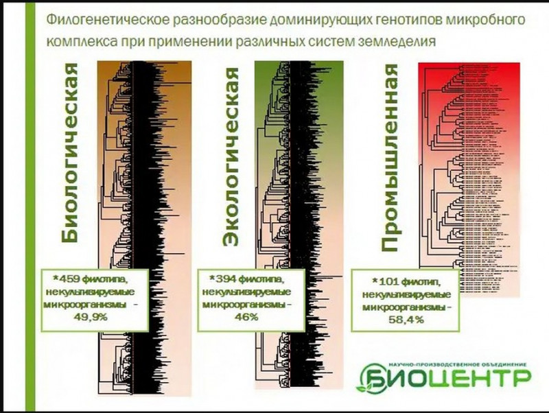 9 разнообразие генотипов.jpg