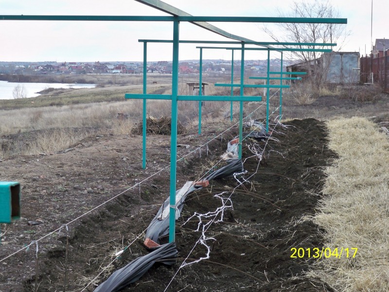 100_4274.JPG