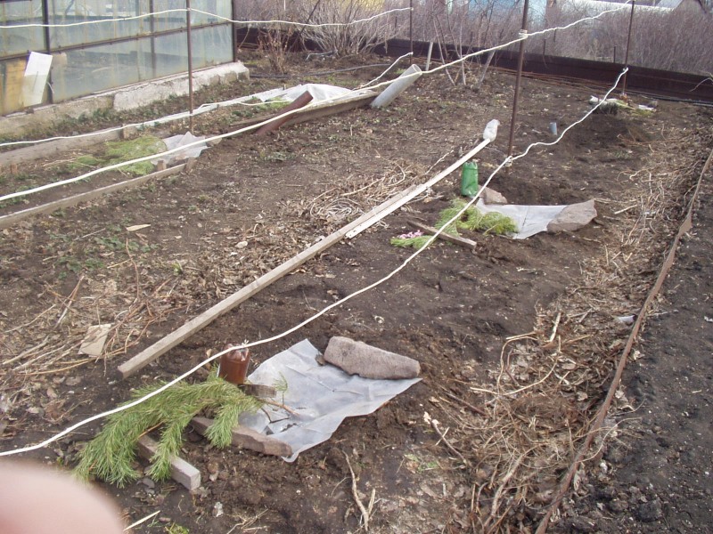 P1010029.JPG
