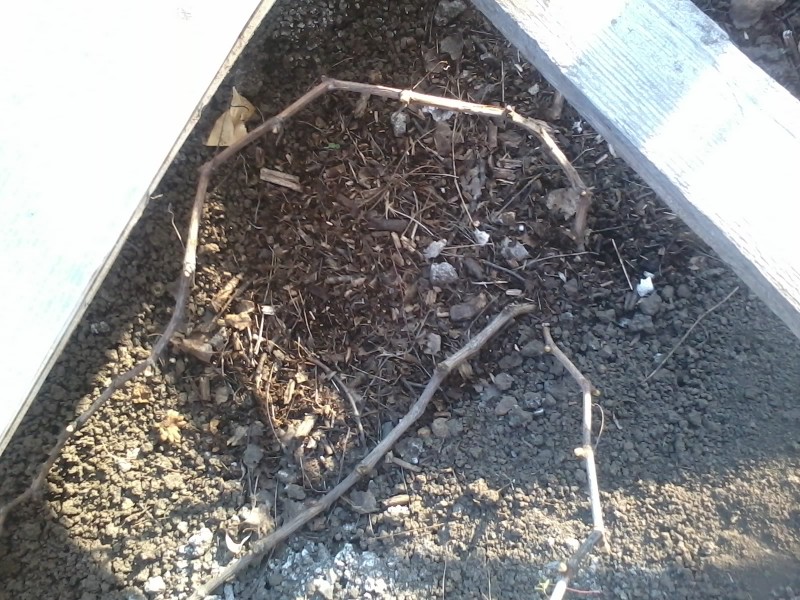 20130422_185107.jpg