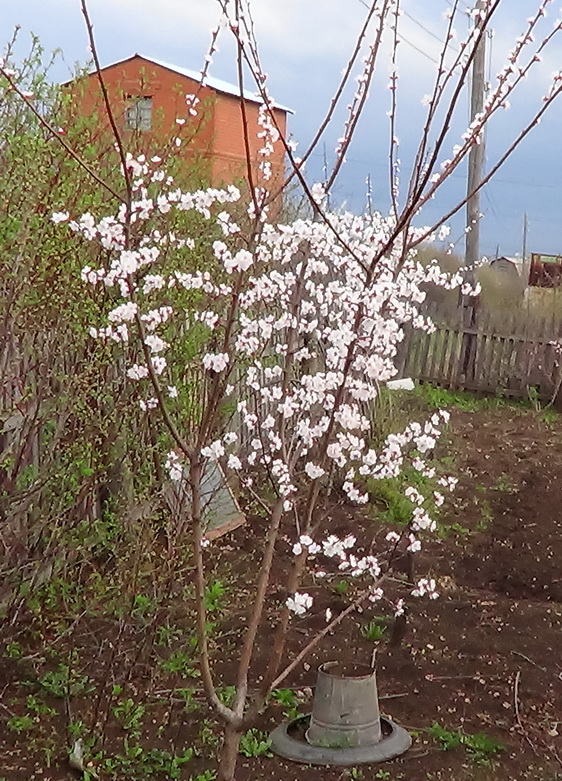 DSC00064.JPG