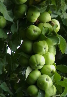 Колонна Кузнецова.jpg