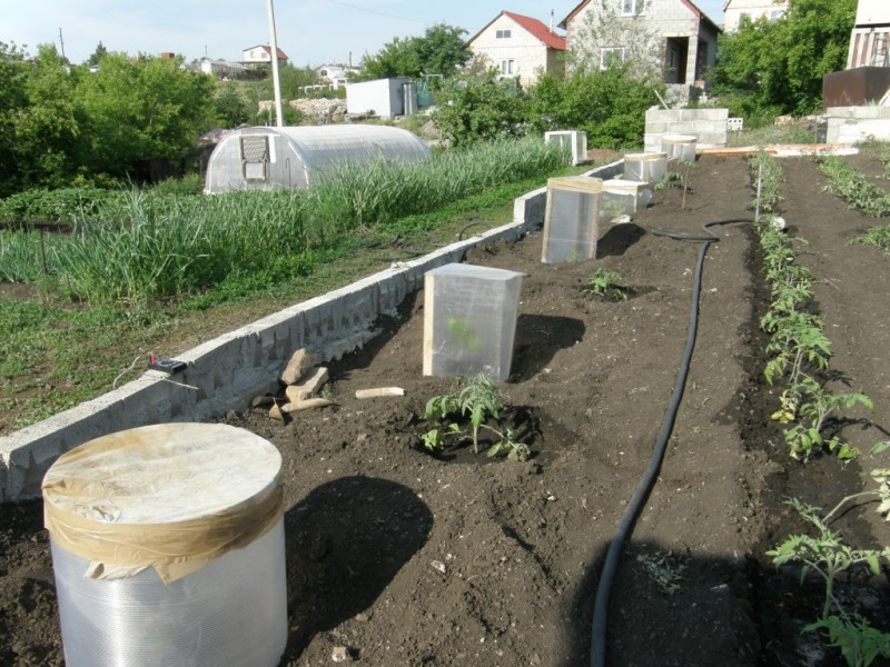 P6120145.JPG