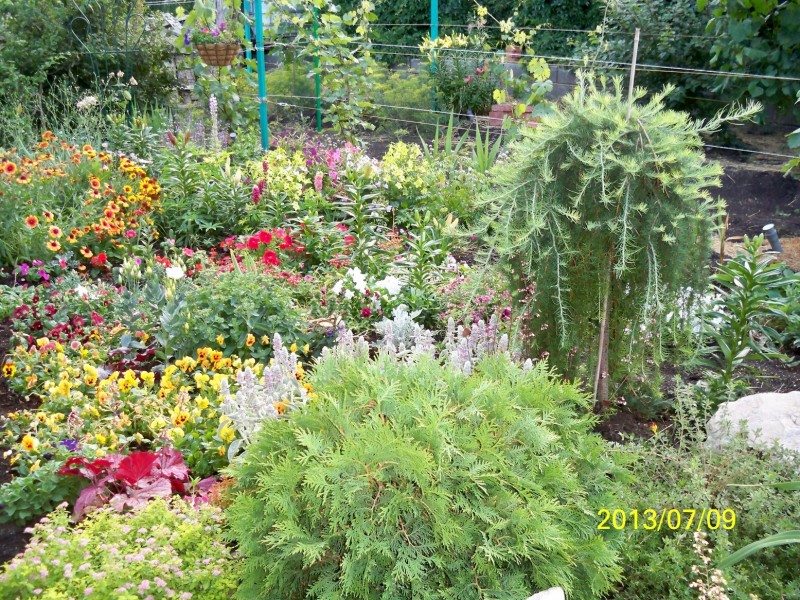 100_4652.JPG