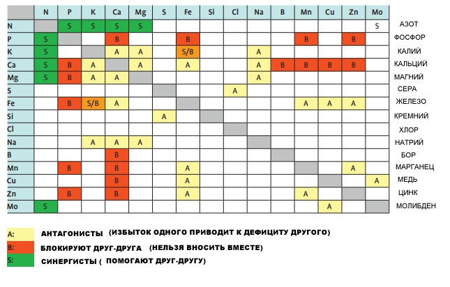i1761[1].jpg