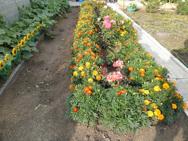 P3030300.JPG