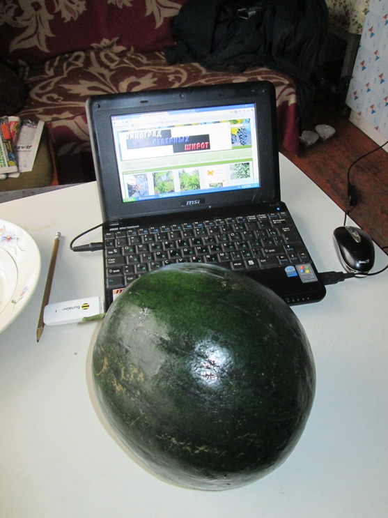 Canon 2013 311.jpg