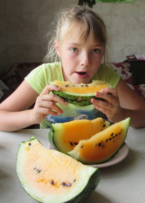 IMG_0381.jpg