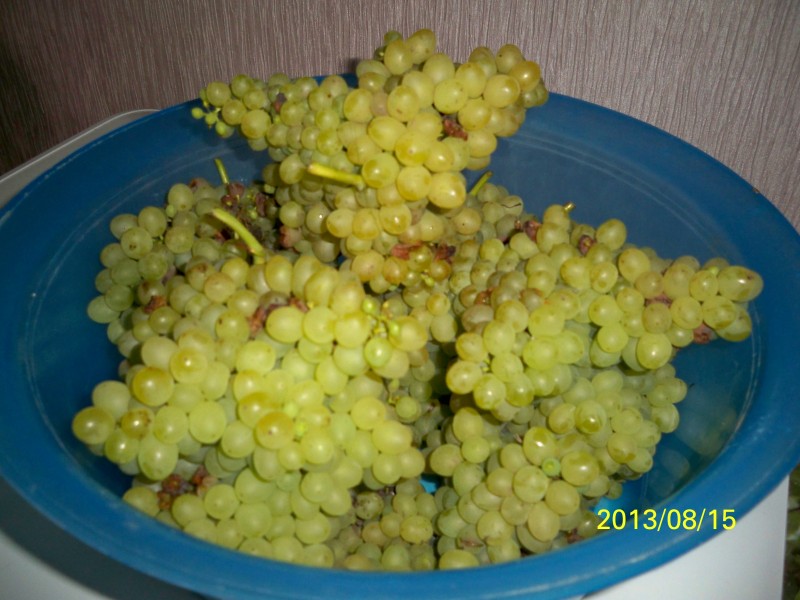 100_5255.JPG
