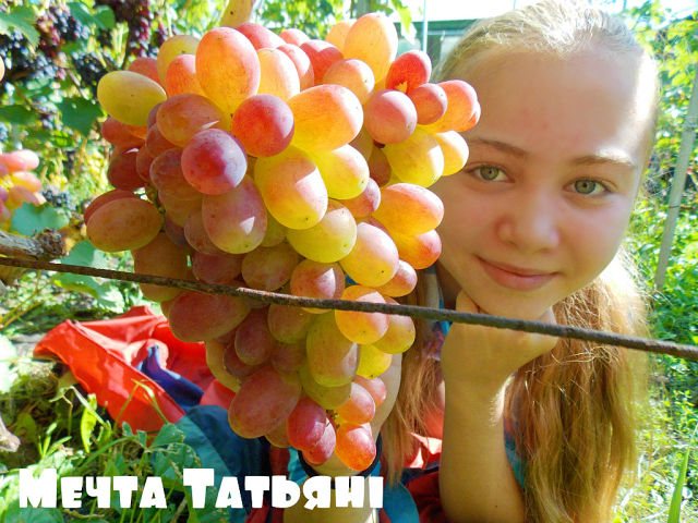 Мечта Татьяны.jpg