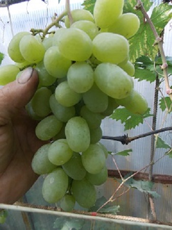 DSCN0758.JPG