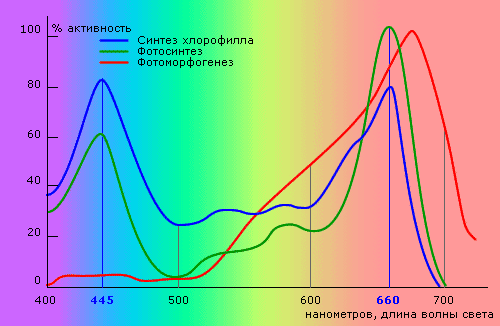 b79b2eab38e7b558daec3c08e5f4eea6.gif