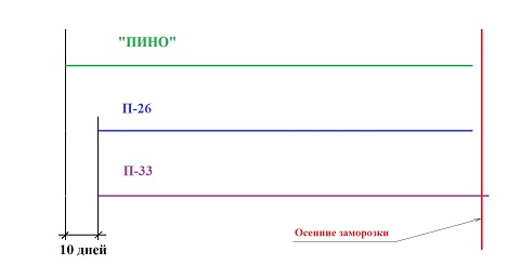 Сроки созревания.jpg