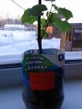 20140209_173242.jpg