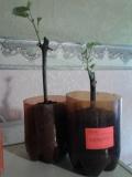 20140209_172749.jpg