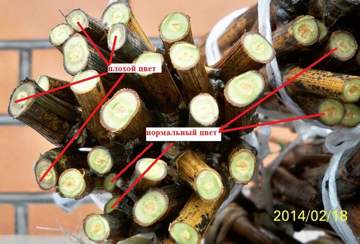 100_6170.JPG