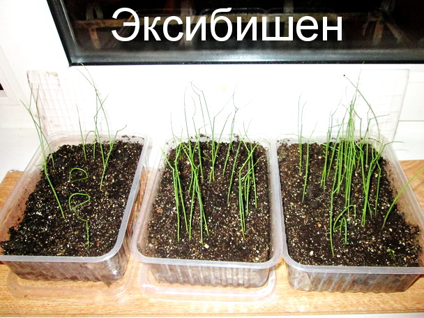 Изображение 024.jpg