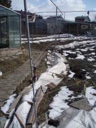 сезон14 035.jpg