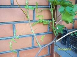 100_6315.JPG