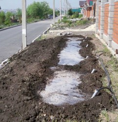100_6514.JPG
