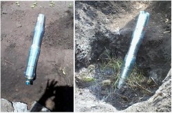 Труба для корневых подкормок.JPG