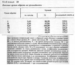 Влияние сроков обрезки на урожайность.jpg