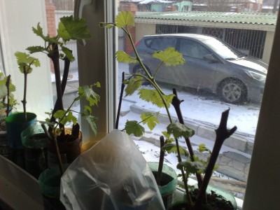 250320122199.jpg
