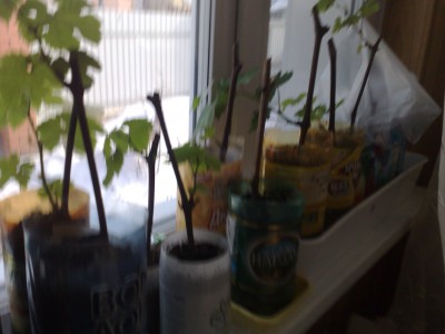 250320122201.jpg