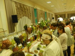 DSCN4410.JPG