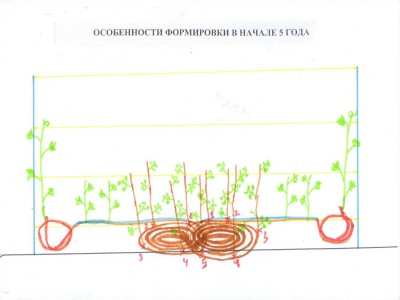 Рисунок1.jpg