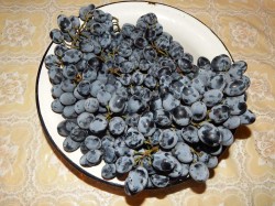 DSCN5060.JPG