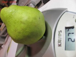 IMG_2883.JPG