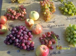 100_7202.JPG