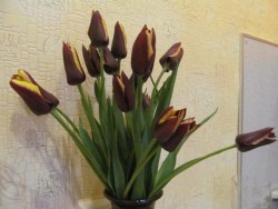 IMG_5761.JPG