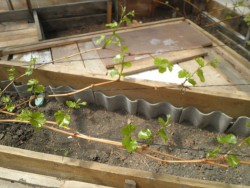 PC250199.JPG